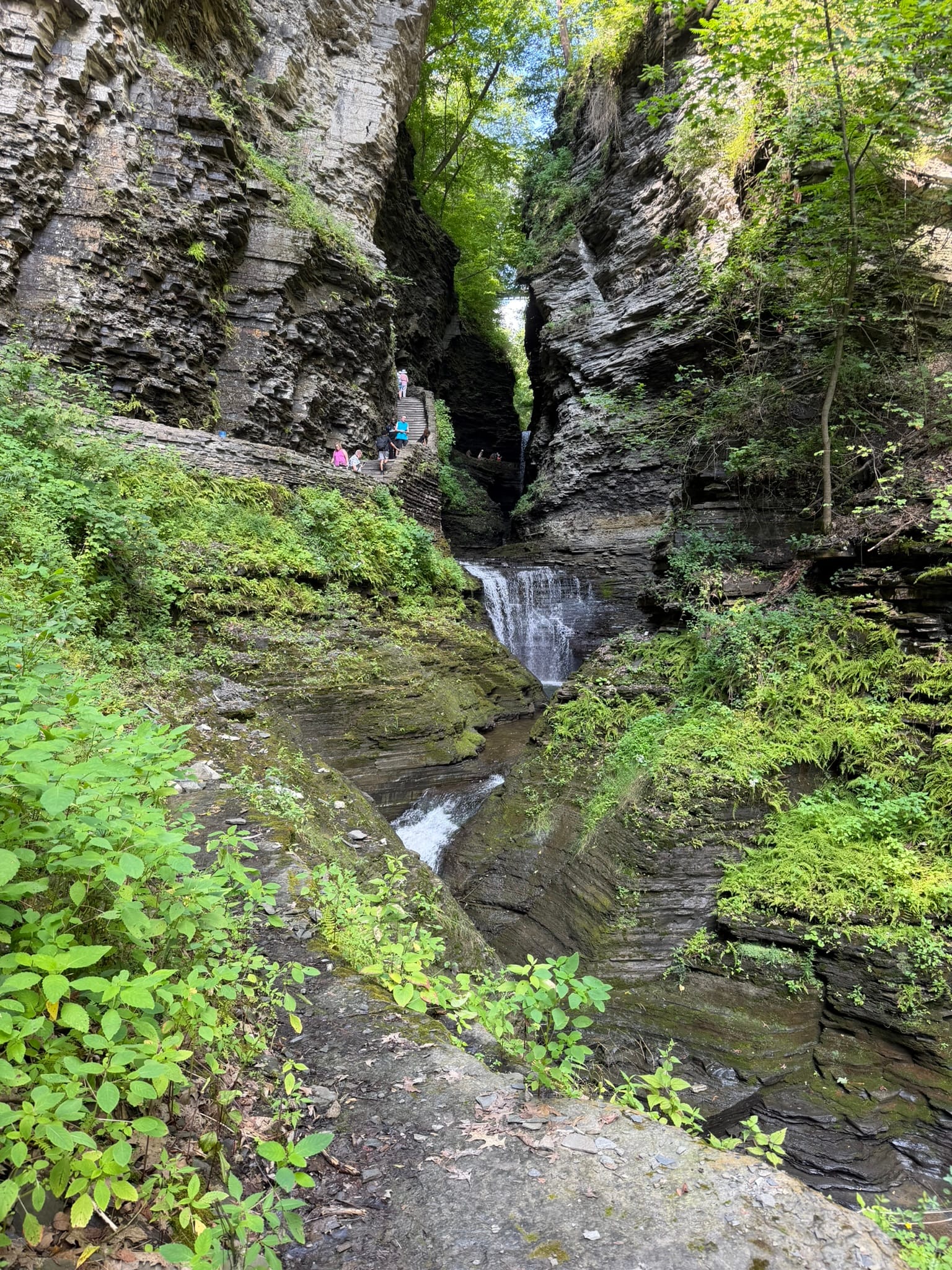 A shot looking into the Glen with the stream cutting through it and the path on the left.