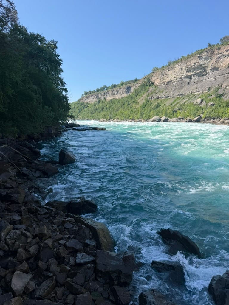 Looking down the gorge at the water from close to the water's edge. There are rapids in the river.