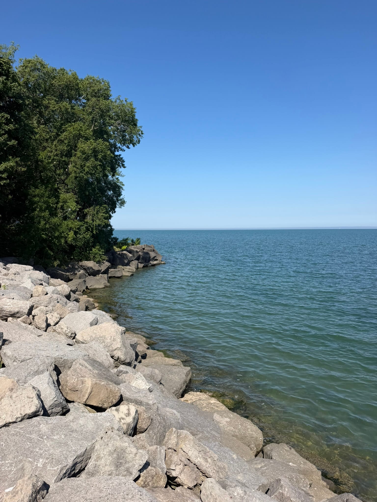 Lake Ontario with rocks and a tree visible in the left of the frame.