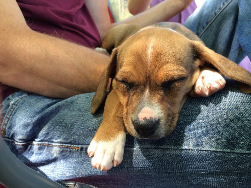 A Day in the Life of Becky